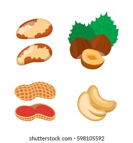 Nuts set. Vegetarian food. Hazelnut, cashew, peanut, walnut. Cartoon flat vector style.