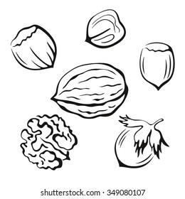 Nuts Set, Walnut and Hazel Monochrome Black Pictograms Icons Isolated on White Background. Vector