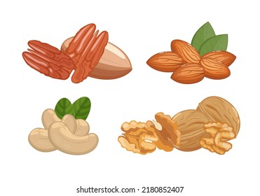 Nueces de nueces, almendras, nueces y pecans, bocadillos sanos, ilustraciones vectoriales aisladas en fondo blanco