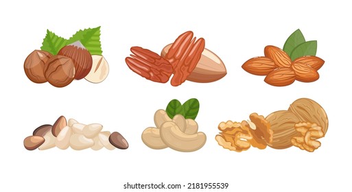 Nuts set of walnuts, almonds, hazelnut and other, healthy snack, vector illustration isolated on white background