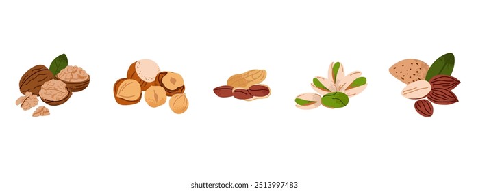 Nueces puestas. Nueces, avellanas y coco. Saludable snack vegano de pistachos, castañas y almendras, anacardos y cacahuetes. Diferentes superalimentos. Comida natural, ilustración aislada plana de dibujos animados de Vector