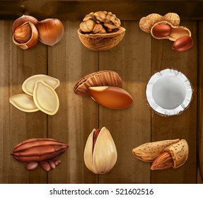 Nuts in the shell. Peanuts, pistachio, hazelnut, cocoa, walnut. Vector icon set