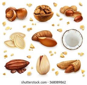 Nuts in the shell, vector icon set