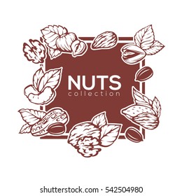 Nuts silhouette banner background template design, almond, cashew,  pistachio, peanut, hazelnut, walnut, 