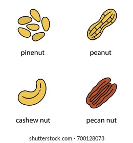 Nuts types color icons set. Pinenut, peanut, cashew, pecan nut. Isolated vector illustrations
