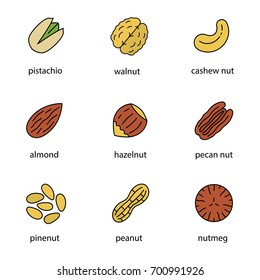 Nuts types color icons set. Pistachio, walnut, cashew and pecan nuts, almond, hazelnut, pinenuts, peanut, nutmeg. Isolated vector illustrations