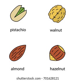 Nuts types color icons set. Pistachio, walnut, almond, hazelnut. Isolated vector illustrations