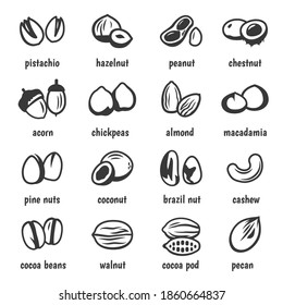 Nuts Sorten fett schwarze Silhouette und Linien Symbole, Piktogramme einzeln auf weiß. Pistachio, Haselnuss, Erdnuss, Kastanie, Eiche, Kichererbsen, Mandeln, Macadamia, Kokosnuss, Cashew, Kakaobohnen, Pekan.