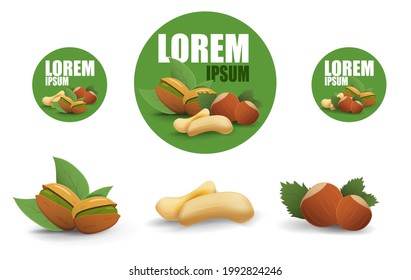 nuts. vector. vector blanks for your logo. simple examples of combining nuts in a composition for a logo. isolates. pistachios. peanut. hazelnut