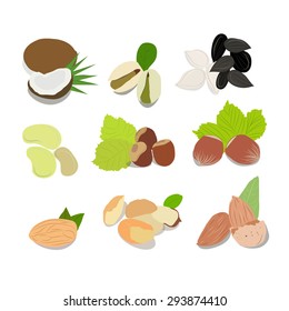 Nuts vector collection