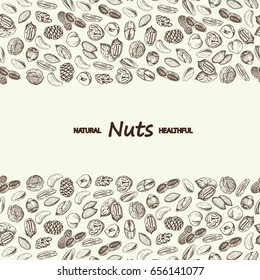 Nuts vector. Hand drawn vintage illustration.