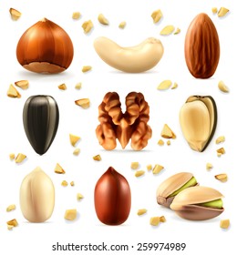 Nuts, vector icon set