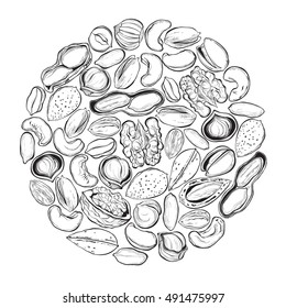 Nuts. Vector illustration in the circle. Sketch, outline drawing. Food illustration with hazelnuts, walnuts, cashews, pistachios, peanuts and almonds.