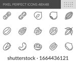 Nuts Vector Line Icons. Peanuts, almonds, chestnuts, cashews, pistachios, hazelnuts, walnuts. Healthy Food. Editable Stroke. 48x48 Pixel Perfect.