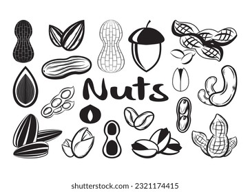 Nuts Vector For Print, Nuts Clipart, Nuts vector Illustration