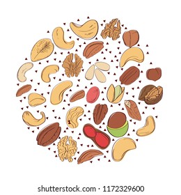 Nuts vector vintage illustration. Hand drawn food objects. Great for label, banner, flyer, card, business promote.