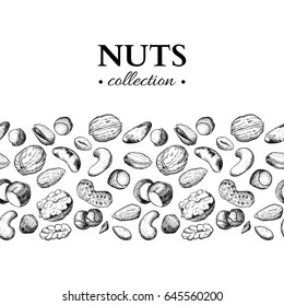 Nuts vector vintage illustration. Hand drawn engraved food objects. Great for label, banner, flyer, card, business promote.