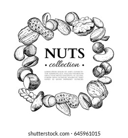 Nuts vector vintage illustration. Hand drawn engraved food objects. Great for label, banner, flyer, card, business promote.