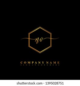 NV Initial luxury handwriting logo vector