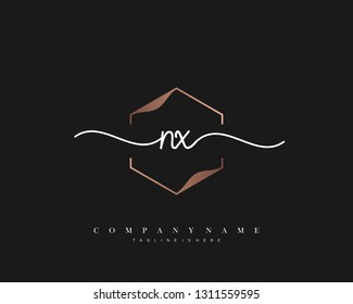 NX initial handwriting logo template vector