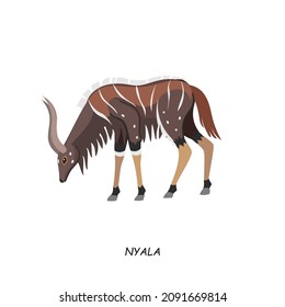 Nyala. African animal. Vector illustration isolated on white background.