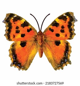 Nymphalis Xanthomelas. Wild Butterfly On A White Background. Colorful Butterfly Vector Picture. Entomology Collection. Romantic Style Decoration. Clipart For Greeting Card, Logo And Design.