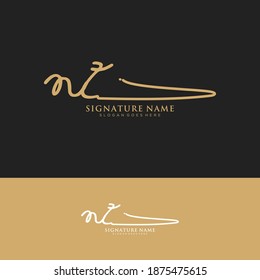 NZ Initial letter handwriting and signature logo.