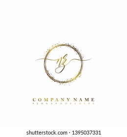 NZ Initial luxury handwriting logo vector
