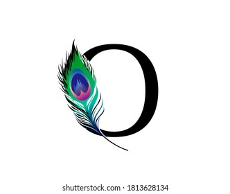 O Letter Decorated With Exotic Peacock Feather. 