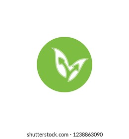 O letter with leaf logo