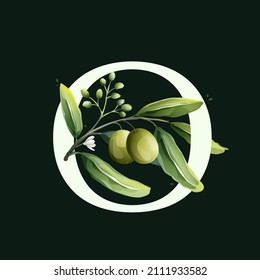 O letter logo in watercolor style with olive branches. Illustration of mediterranean berries, green leaves, flowers, buds, and branches. 