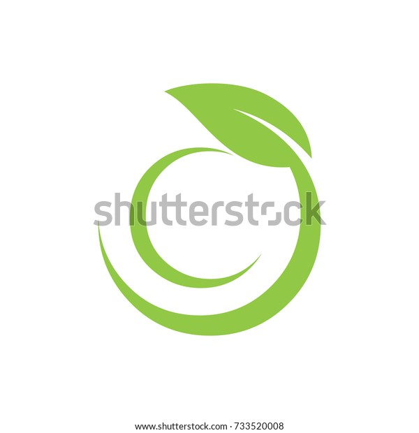 O Logo Initial Letter Design Template Stock Vector Royalty Free