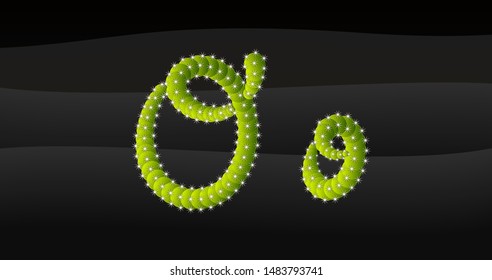 o Lowercase & Capital 3D Cactus Alphabet on black desert blackground, letters vector illustration
