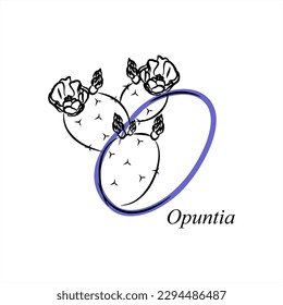 O - Opuntia or Prickly Pear. ABC with flowers. Series of letters A-Z. Images of plants. Minimalism. Beautiful letters. Line drawing. logo design initial O combine with flowers.