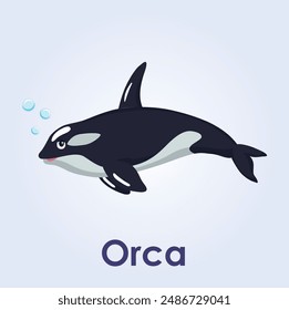 O for Orca Vector underwater creature