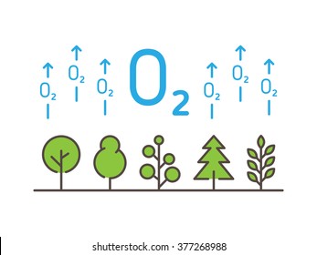 O2 (oxygen) linear vector illustration with trees, forest, plant, arrows. Natural (ecology, ecological) oxygen creative graphic concept. Natural eco oxygen process for science, chemistry, biology.
