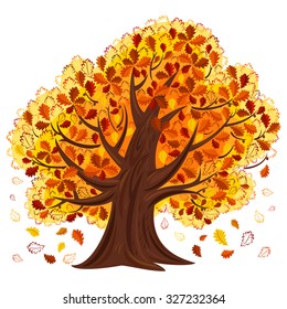 Oak