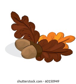 Oak