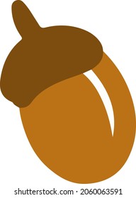 Oak acorn in color on a white background