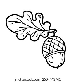 Oak acorn with leaf. Image produced without the use of any form of AI software at any stage.