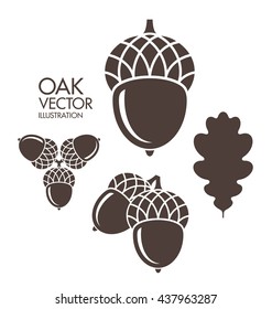 Oak. Acorn. Leaf. Vintage style vector