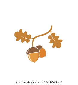 oak acorn vector illustration design template