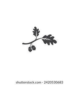 oak acorn vector illustration design template