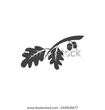 oak acorn vector illustration design template
