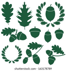 oak tree leaves vector