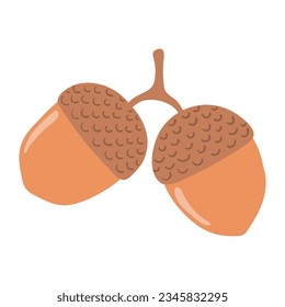 Oak acorns hand drawn illustration. Cartoon style flat design, isolated vector. Kids autumn, fall print, seasonal plant element, woodland, park, outdoors, nature