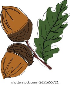 Bolotas de carvalho com folhas, desenho à mão, esboço rápido