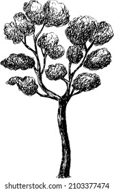 Oak or aspen tree.
Vector illustration in engraving style. Black silhouette of various plants.