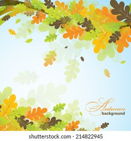 Oak autumn background, vector illustration