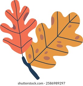 Oak autumn leaf vector illustration
